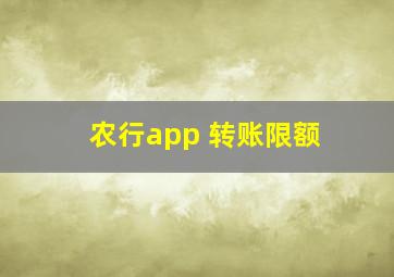 农行app 转账限额